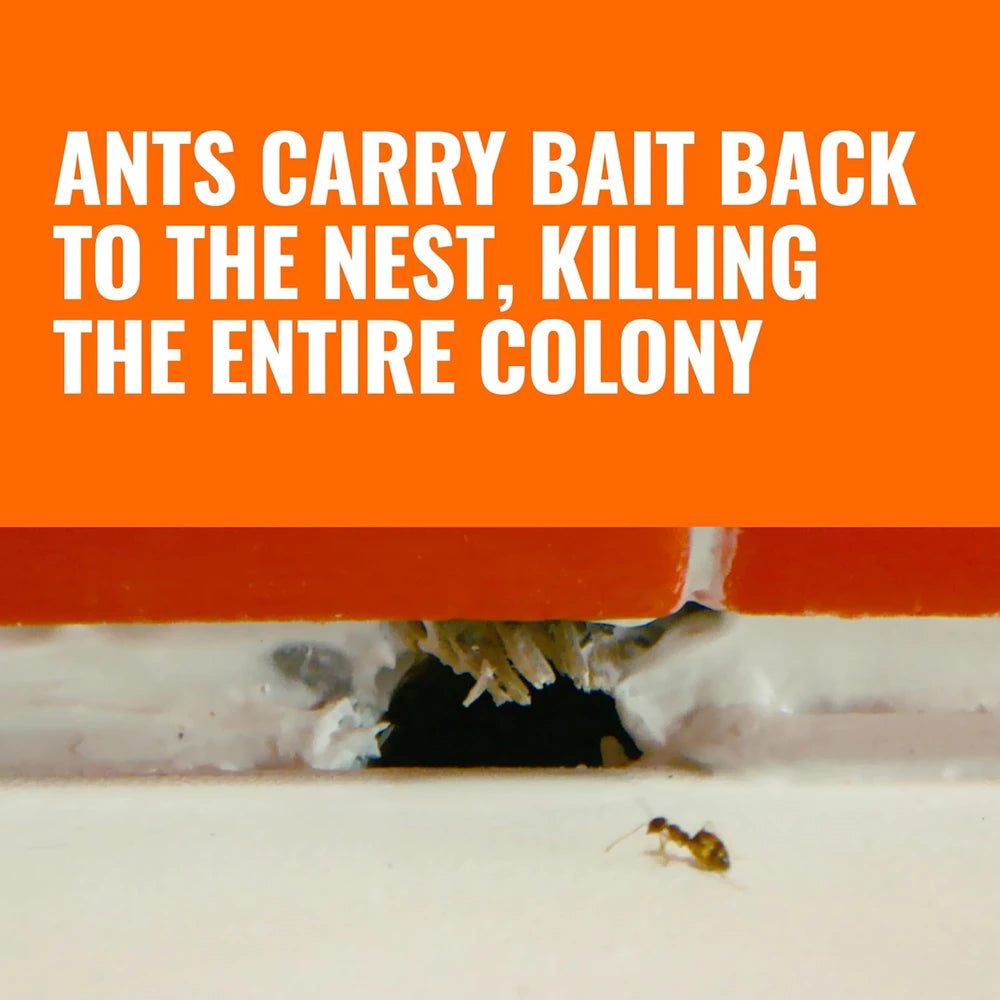 Terro Liquid Ant Baits